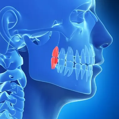 Chowdhury's Premium Dental x-ray 4